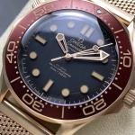 Omega Seamaster – Burgundy & Gold